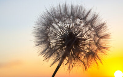 Succes begint bij ontspanning